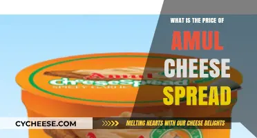 Amul Cheese Spread Price: A Comprehensive Guide to Costs