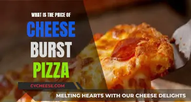 Cheese Burst Pizza: How Much Does it Cost?