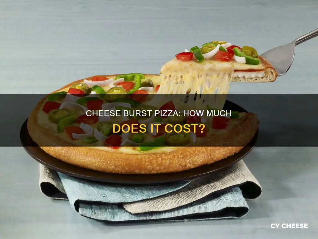 what is the price of cheese burst pizza