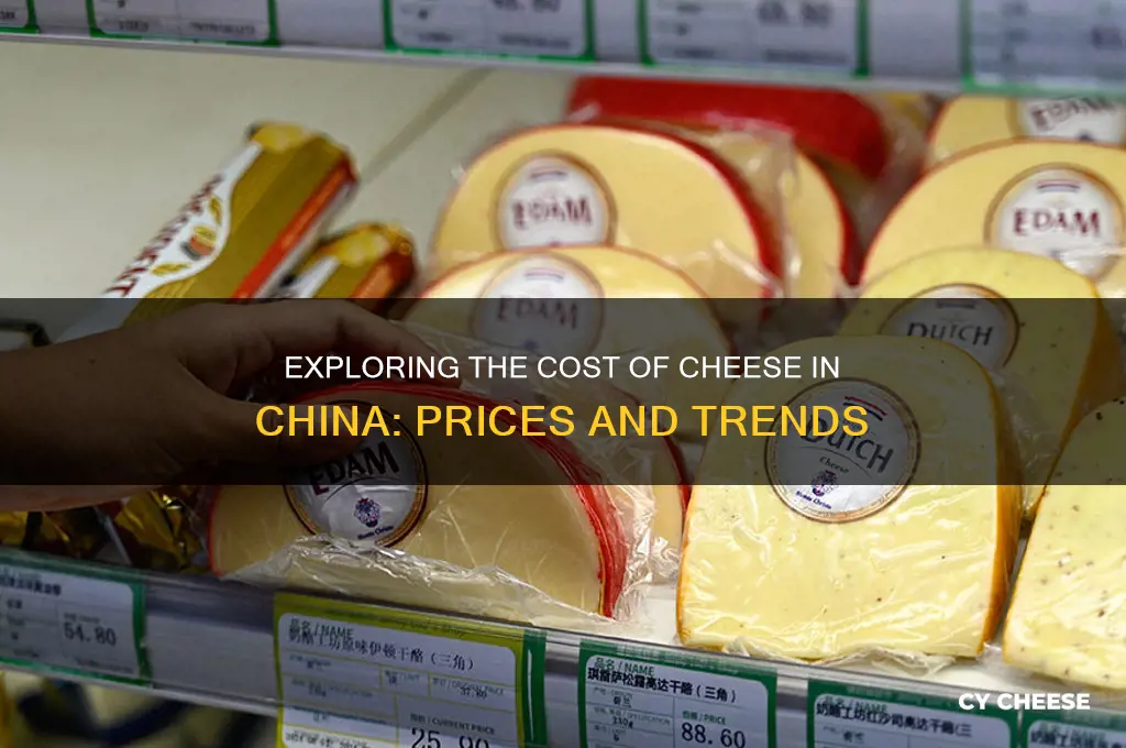 what is the price of cheese in china
