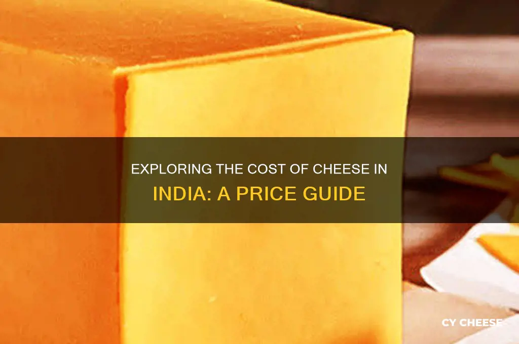 what is the price of cheese in india