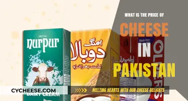 Exploring Cheese Prices in Pakistan: Costs and Market Trends