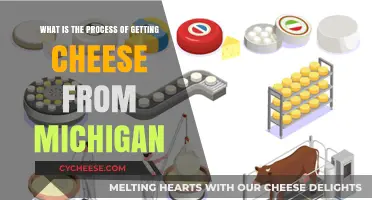 Michigan Cheese: From Farm to Table