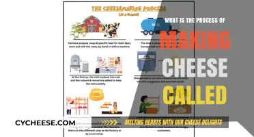 The Art of Cheesemaking: Unveiling the Process Behind Cheese Creation