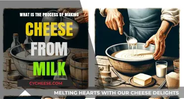 From Milk to Cheese: A Step-by-Step Guide to Cheesemaking