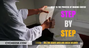 Mastering Cheese Making: A Detailed Step-by-Step Process Guide
