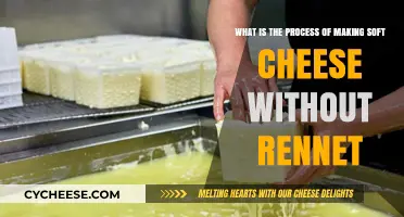 Crafting Soft Cheese: A Rennet-Free Method Explained