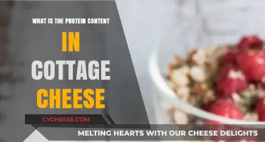 Cottage Cheese Protein Power: Unveiling Its Nutritional Value and Benefits