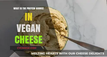 Discovering Plant-Based Protein Sources in Vegan Cheese Alternatives