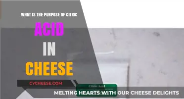 Citric Acid's Role in Cheese: Enhancing Flavor, Texture, and Preservation