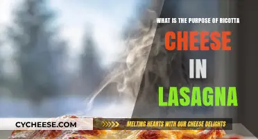 Ricotta Cheese in Lasagna: Its Role, Texture, and Flavor Enhancement