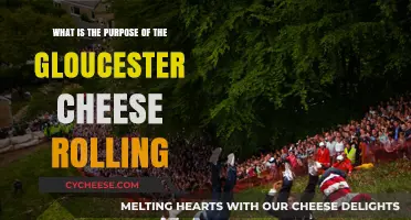 Gloucester Cheese Rolling: Unveiling the Thrilling Tradition's Surprising Purpose