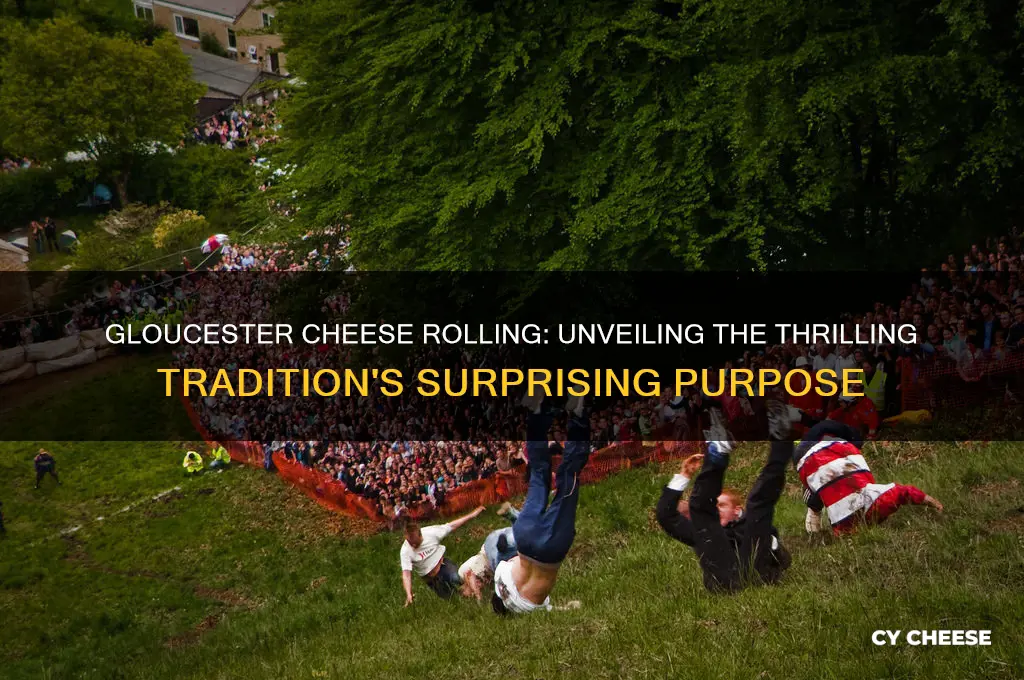 what is the purpose of the gloucester cheese rolling