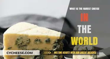 Discovering the World's Rarest Cheese: A Gourmet's Ultimate Quest