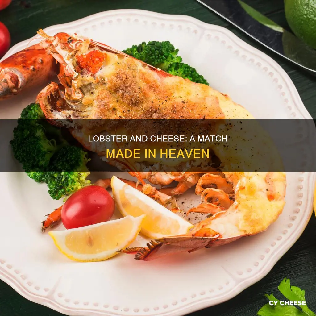 what is the recipe name for lobster cooked with cheese