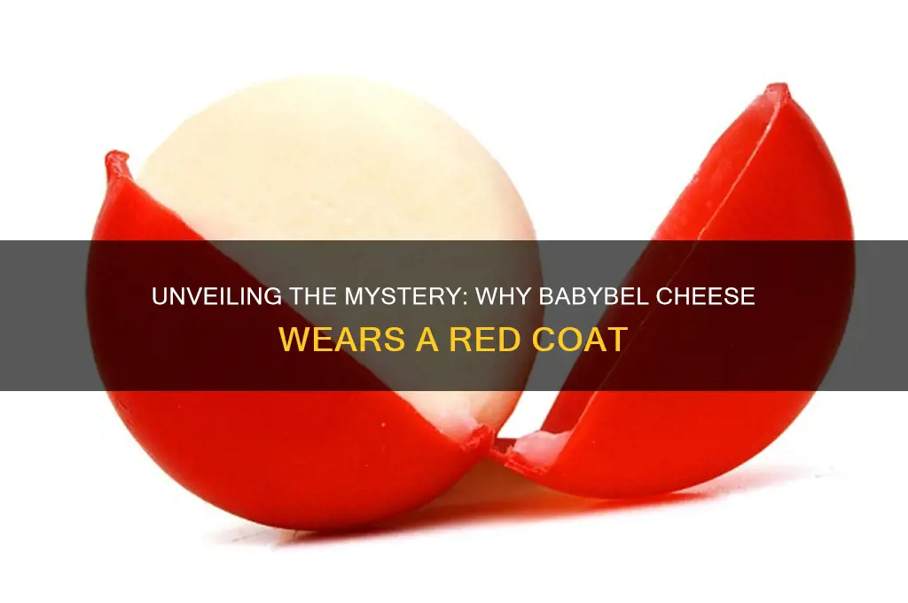 what is the red cover on babybel cheese