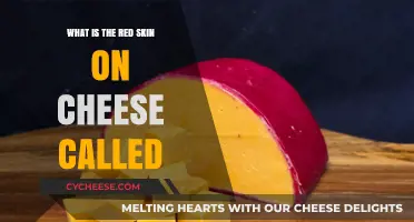 Understanding the Red Rind: What's That Skin on Cheese Called?