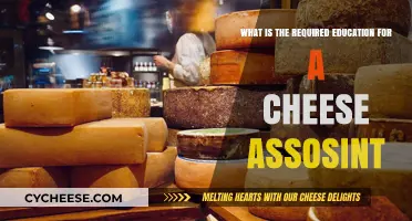Essential Education Requirements for Becoming a Cheese Assistant