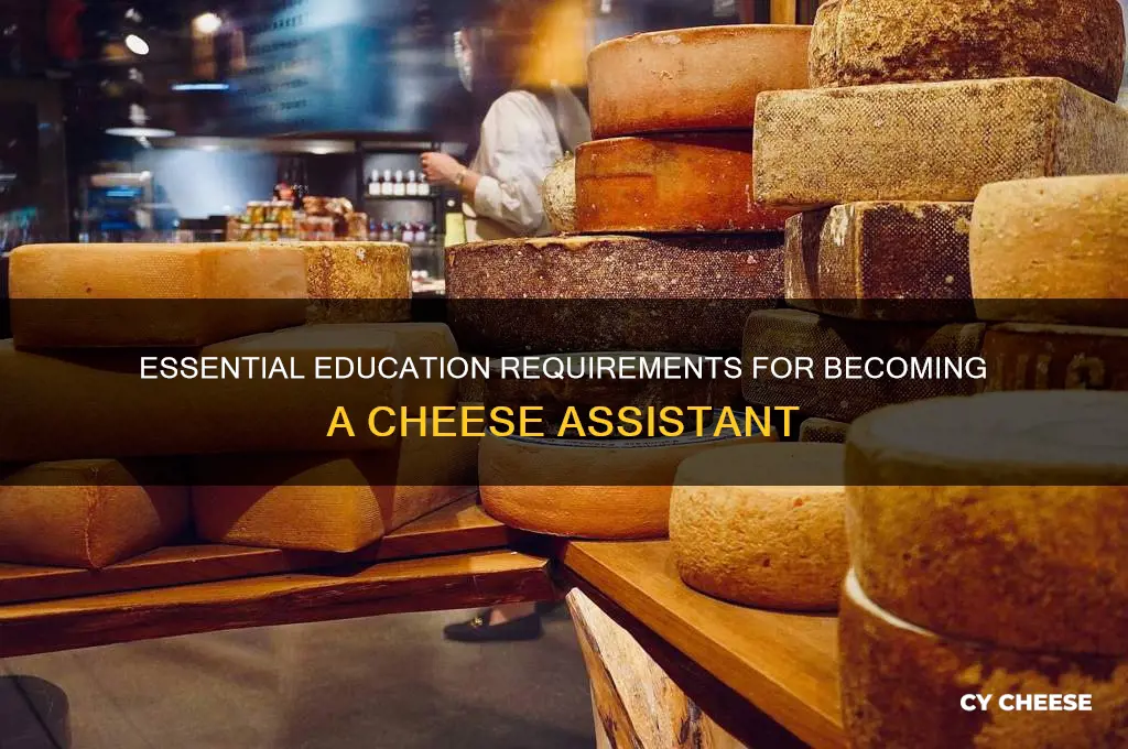 what is the required education for a cheese assosint