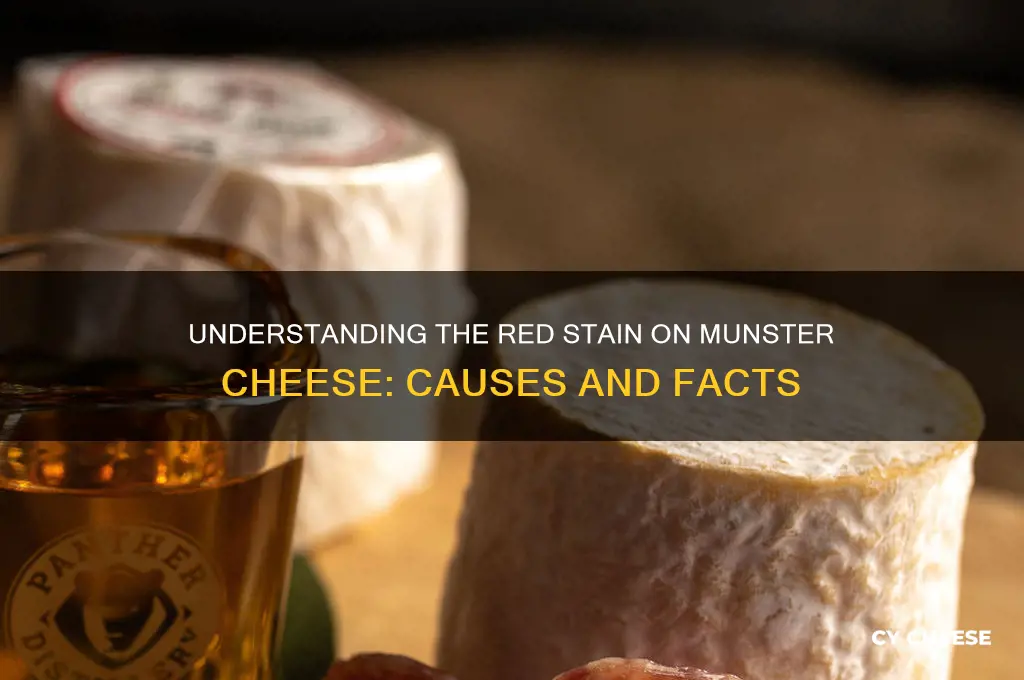 what is the res stain on meunster cheese