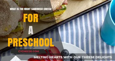 Perfect Preschool Sandwich Cheese: Healthy, Tasty, and Kid-Approved Choices
