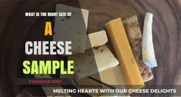 Perfect Cheese Sample Size: A Guide to Tasting Excellence