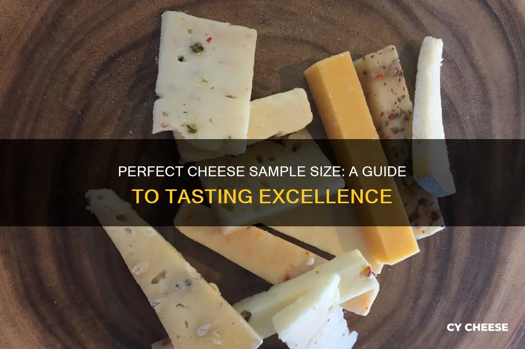 what is the right size of a cheese sample