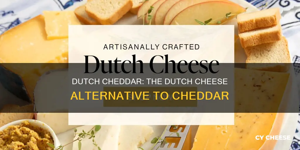 what is the same as cheddar cheese in the netherlands