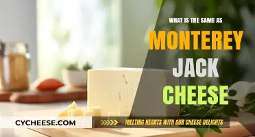 Discovering Monterey Jack Cheese Alternatives: Similar Flavors and Textures