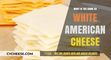 Exploring White American Cheese Alternatives: Similar Cheeses You'll Love