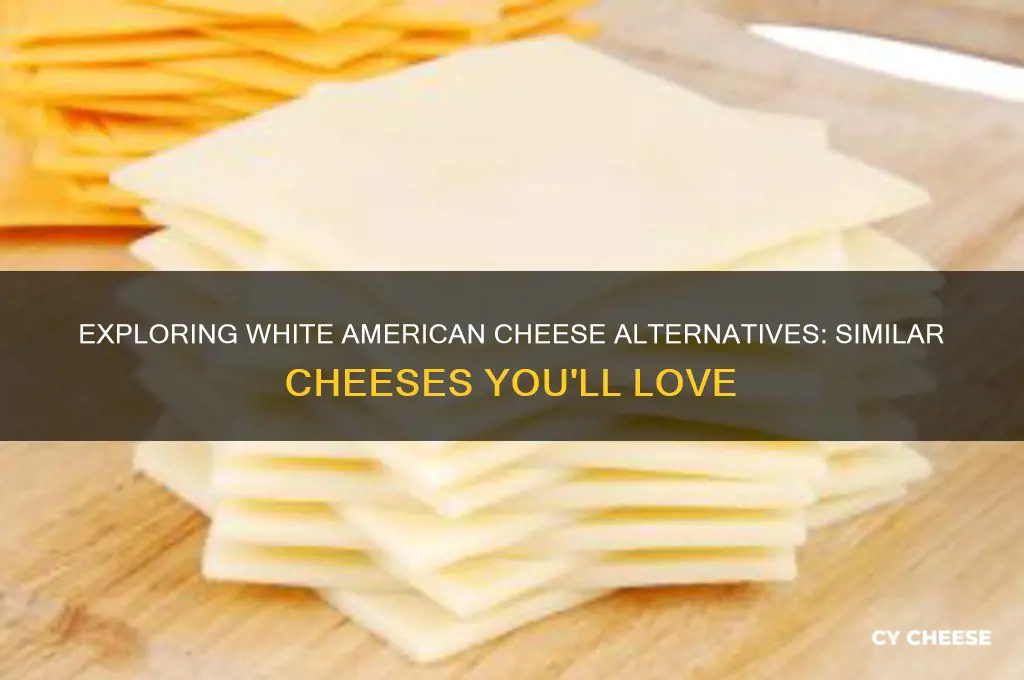 what is the same as white american cheese