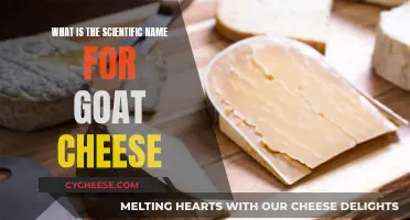 Unraveling the Mystery: The Scientific Name for Goat Cheese Revealed