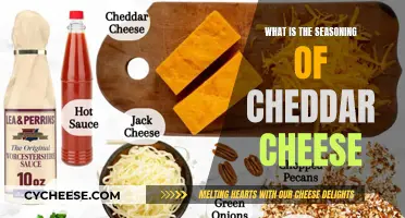 The Art of Cheddar Seasoning: Unlocking Flavor Secrets