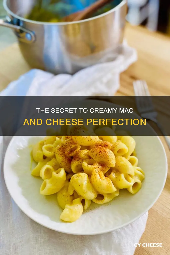 what is the secret to creamy macaroni and cheese