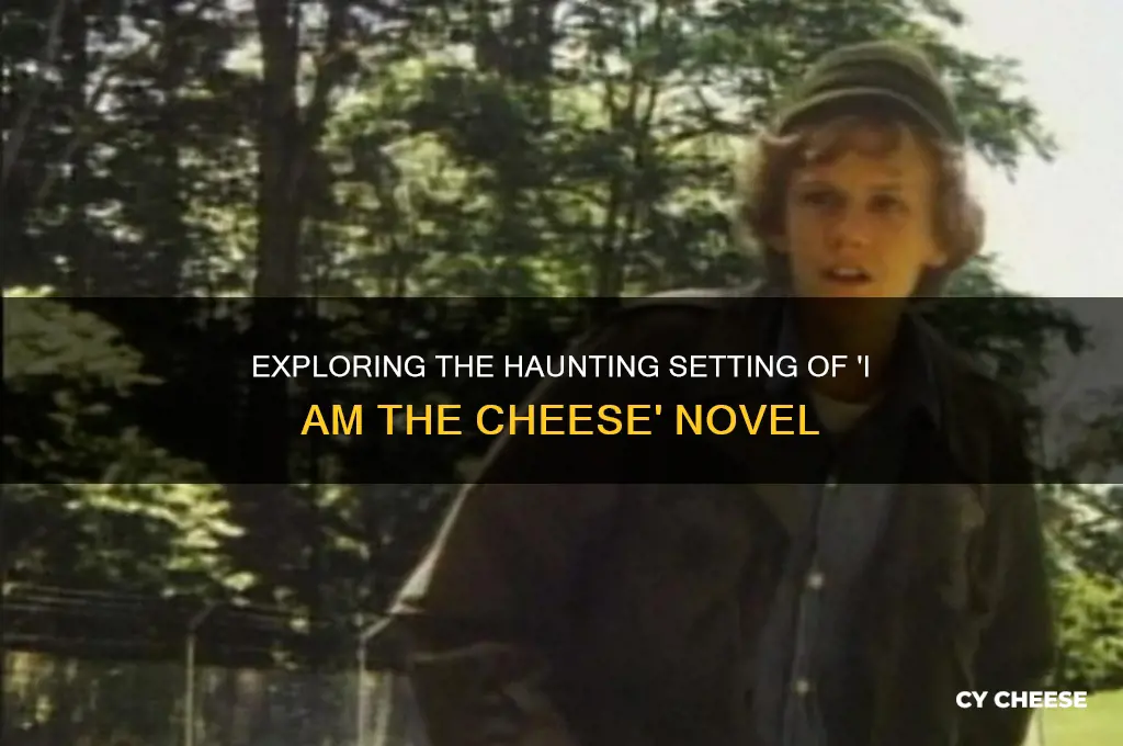 what is the setting of i am the cheese