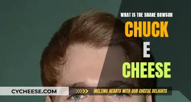 Shane Dawson's Chuck E. Cheese Scandal: What's the Deal?