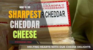 The Ultimate Cheddar Challenge: Who's the Sharpest?