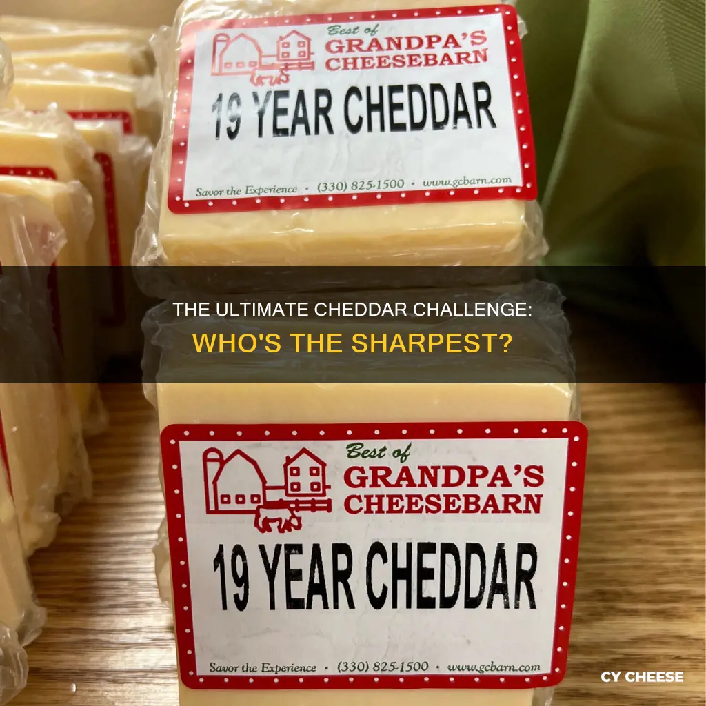 what is the sharpest cheddar cheese