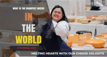 Discovering the World's Sharpest Cheese: A Tangy Taste Adventure
