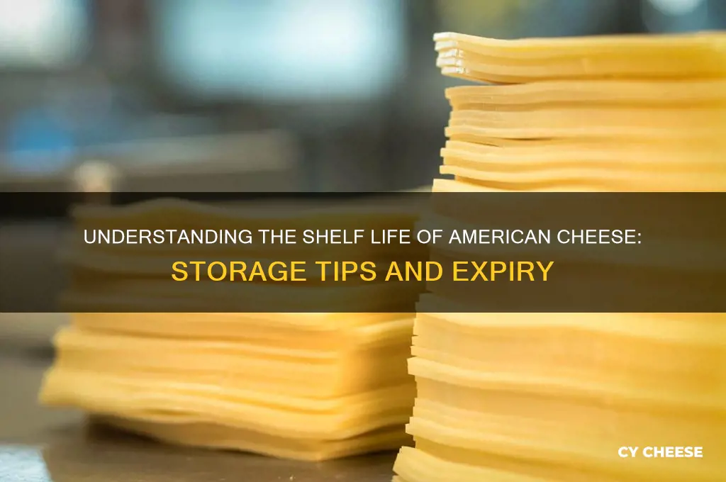 what is the shelf life of american cheese