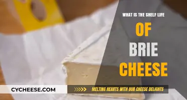 How Long Does Brie Cheese Last? Shelf Life Explained