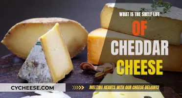 Cheddar Cheese: Unlocking the Secrets of Its Shelf Life