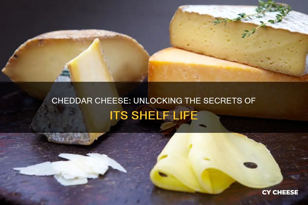 what is the shelf life of cheddar cheese