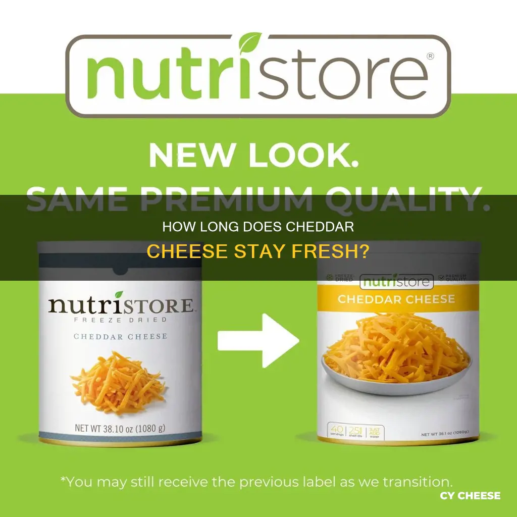 what is the shelf life of cheddar cheese