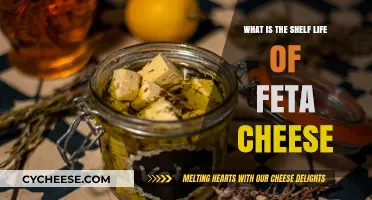 Feta Cheese: How Long Does it Last?