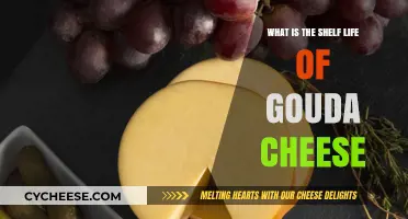 How Long Does Gouda Cheese Last? Shelf Life Explained