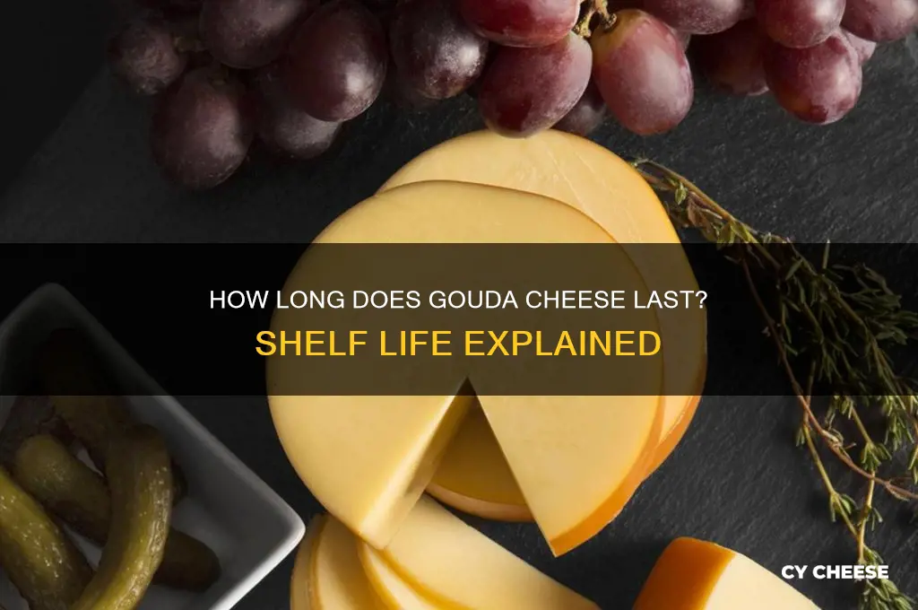 what is the shelf life of gouda cheese