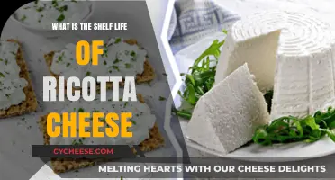 Ricotta Cheese Shelf Life: How Long Does It Last?