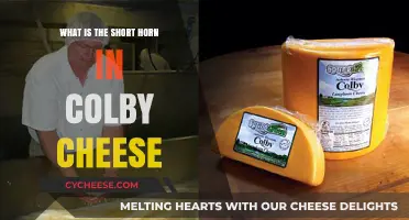 Understanding the Short Horn's Role in Colby Cheese Production