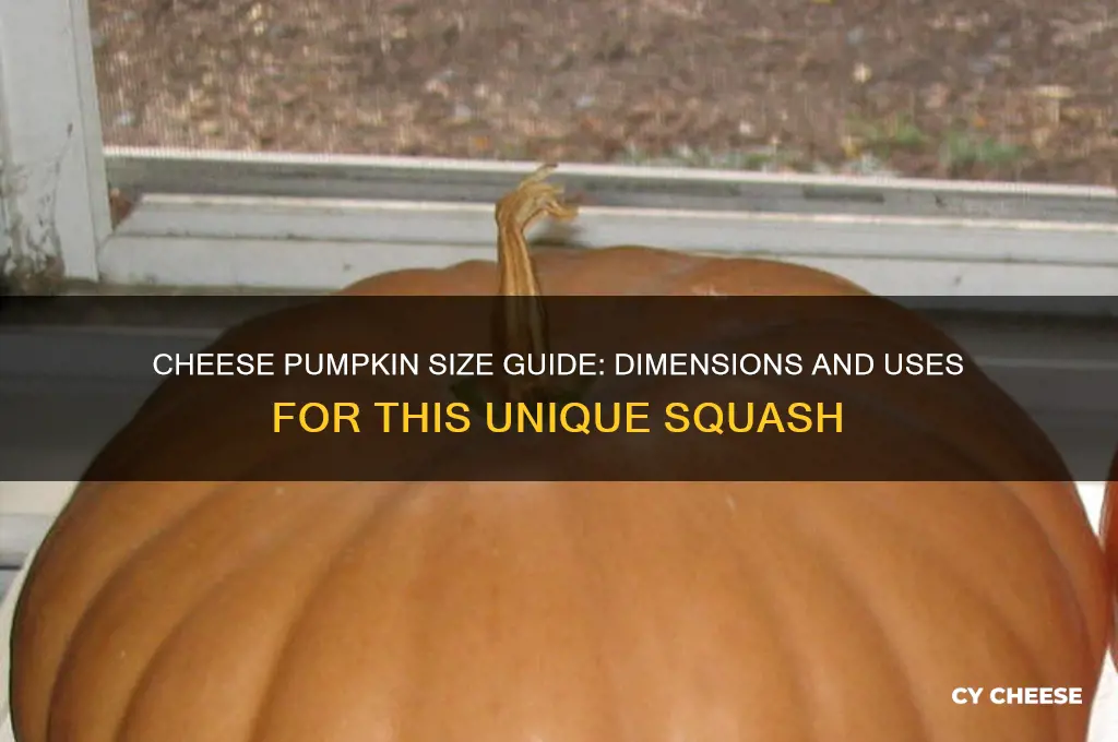 what is the size of a cheese pumpkin